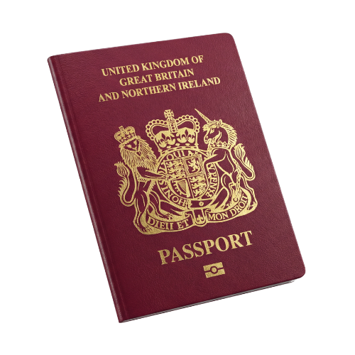 Stray dog in travel destination